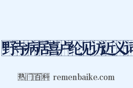野寺病居喜卢纶见访近义词是什么意思的图片